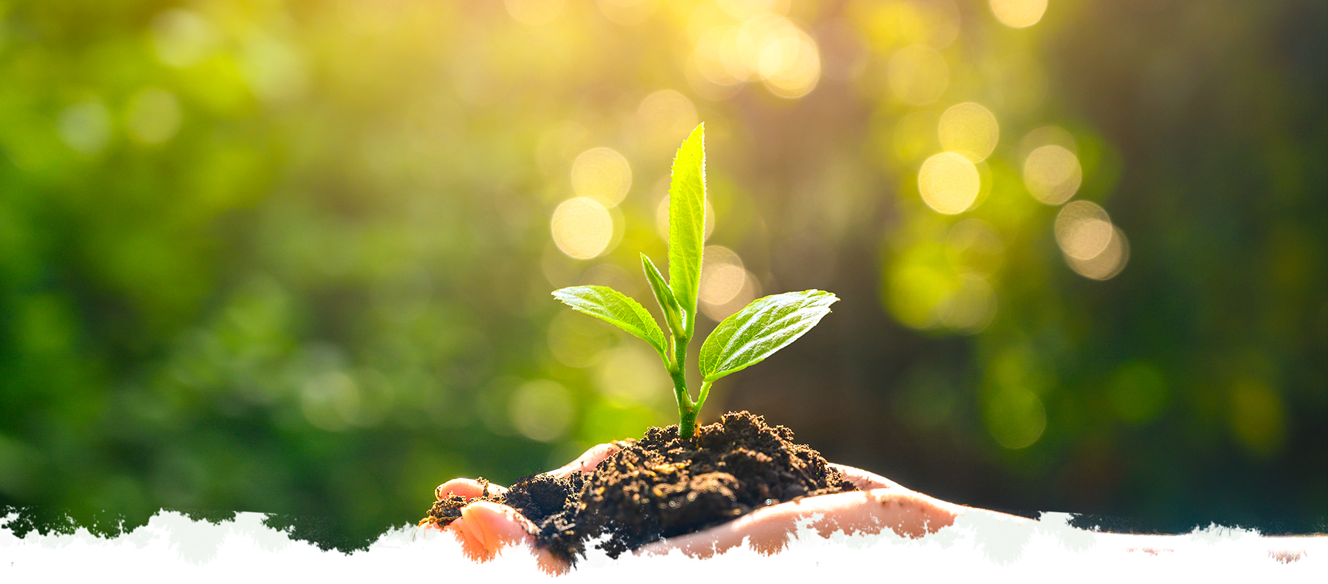 首页 - PNG电子官方网站