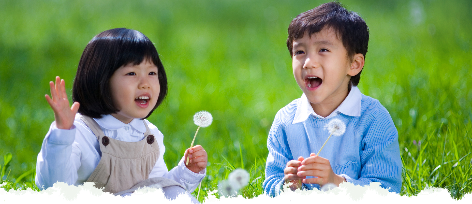 首页 - PNG电子官方网站