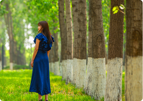 首页 - PNG电子官方网站