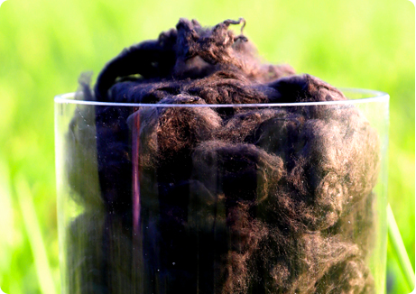 首页 - PNG电子官方网站