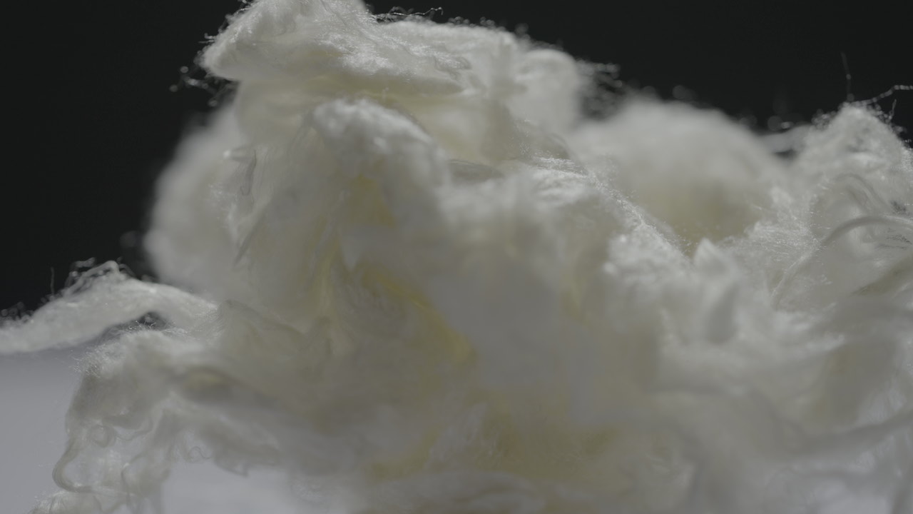 首页 - PNG电子官方网站