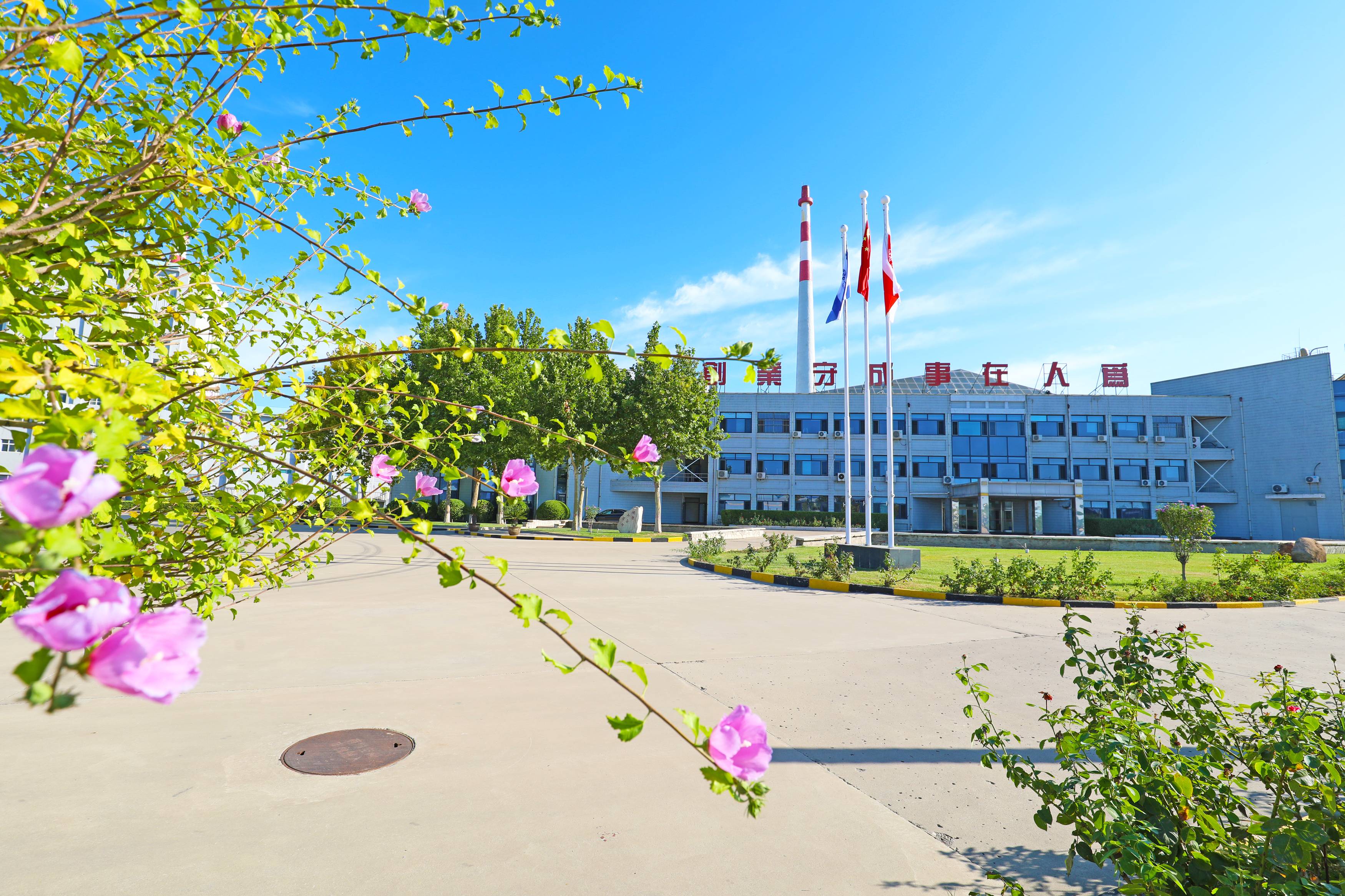 首页 - PNG电子官方网站