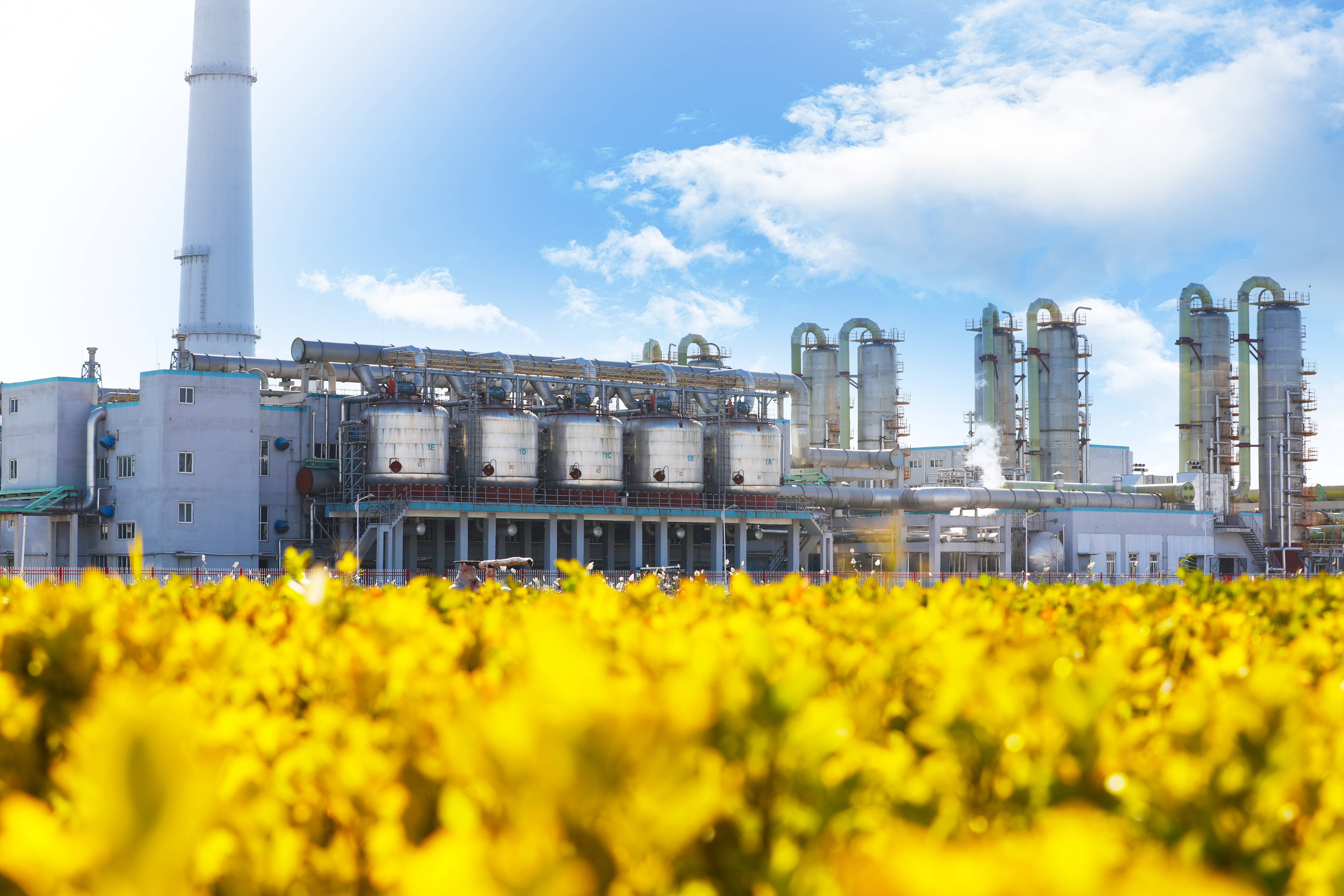 首页 - PNG电子官方网站